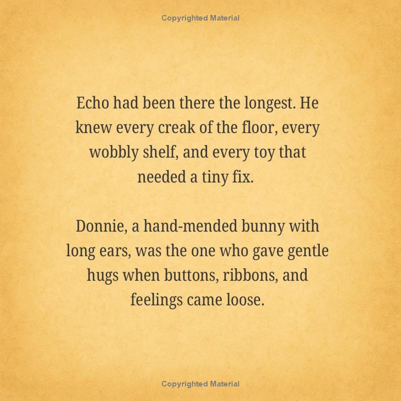 Echo and the Button of Wishes